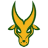 Tim Putri FEU Tamaraws